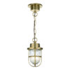 Harbour 1 Light Pendant Brass Ip43