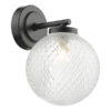 Wayne Bathroom Wall Light Matt Black Glass IP44