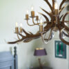 Antler 16 Light Chandelier Rustic